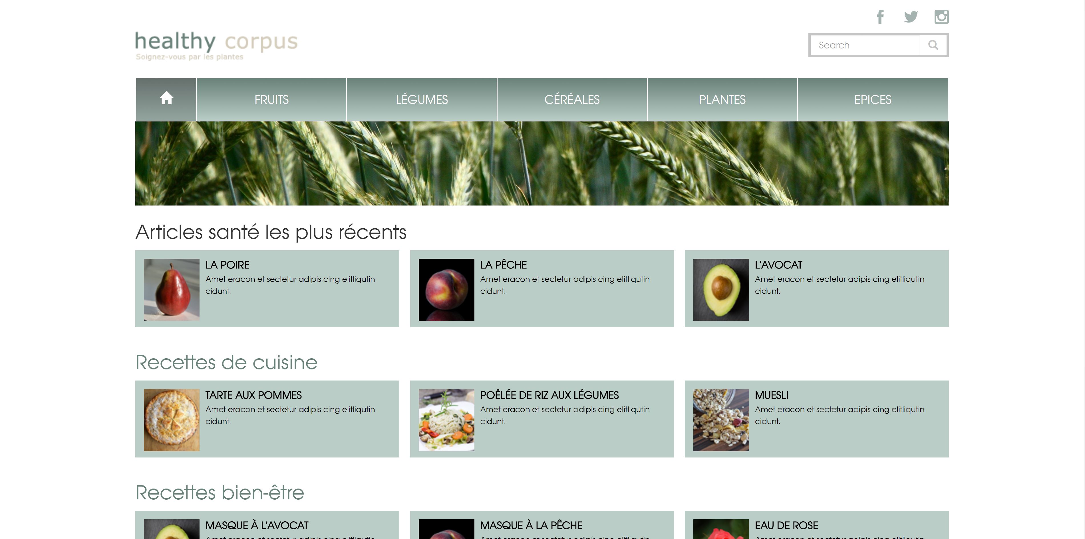 template de site web - Sandra Delaunay - Healthy Corpus